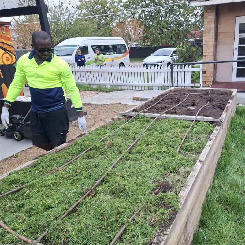Garden Bed Clean Up image 12