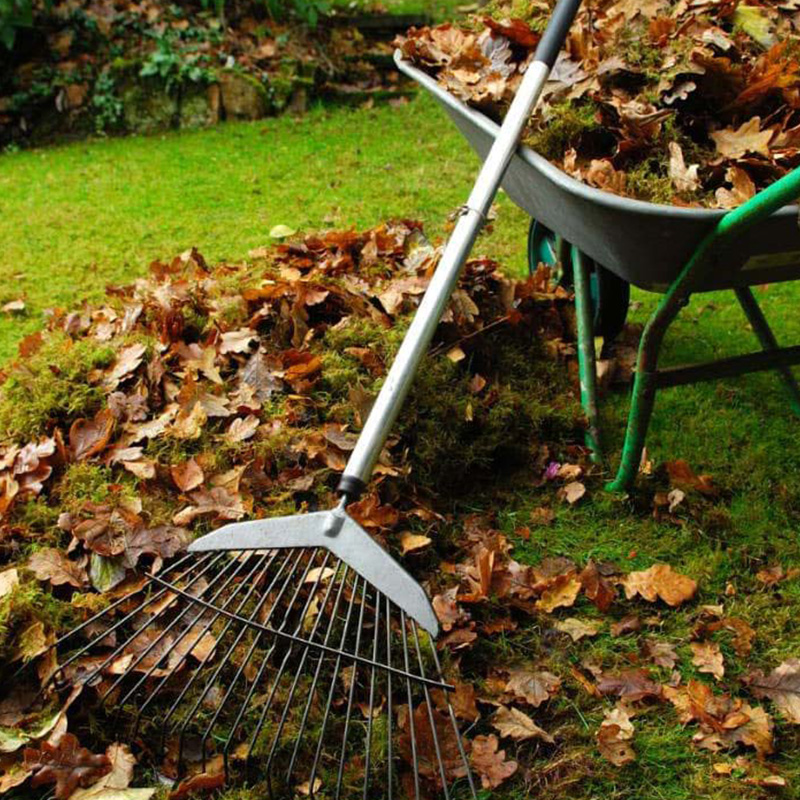 Garden Clean Up