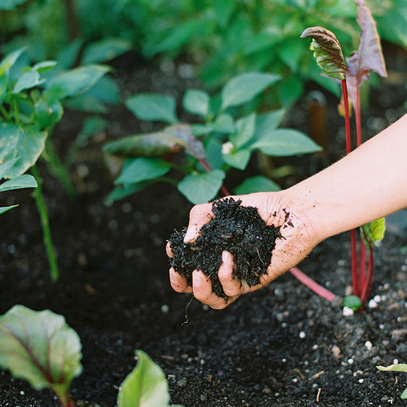 Garden Fertilising